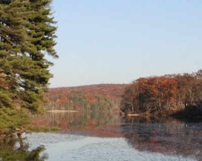 ir-111108__7366_16-35L.jpg