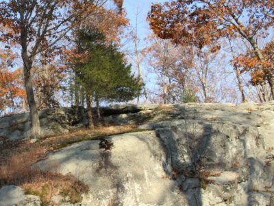 ir-111108__7368_16-37L.jpg
