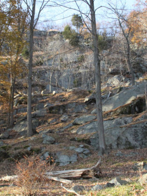 ir-111108__7375_16-44P.jpg