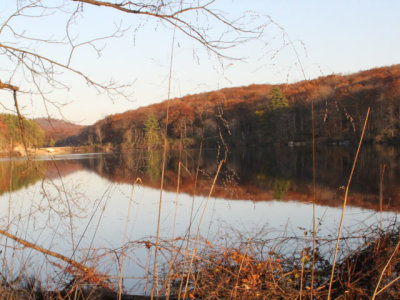 ir-111108__7386_17-06L.jpg