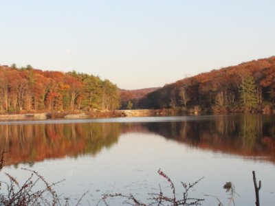 ir-111108__7388_17-07L.jpg
