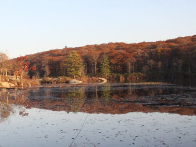 ir-111108__7394_17-09L.jpg