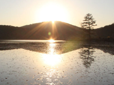 ir-111108__7399_17-14L.jpg