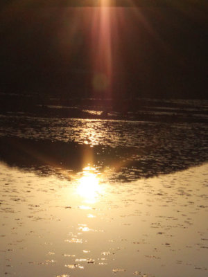 ir-111108__7404_17-19P.jpg