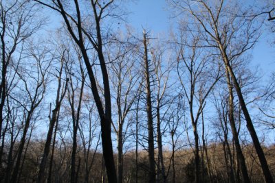 ir-111201__8010_15-55.jpg