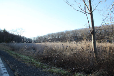 ir-111201__8021_16-09.jpg