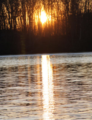 ir-111201__8045_17-24P.jpg