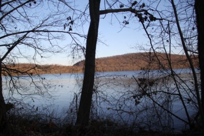 ir-111208__8094_16-41.jpg
