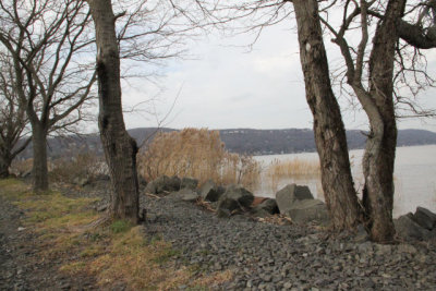 ir-111215__8306_13-08.jpg