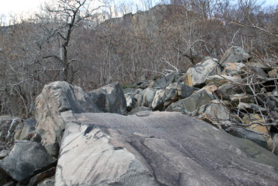 ir-120102__9160_15-41.jpg