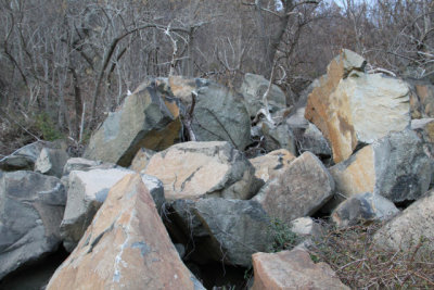 ir-120102__9163_15-41.jpg