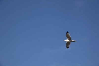ir-120119__9573_12-58.jpg