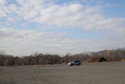 ir-120119__9575_12-59.jpg