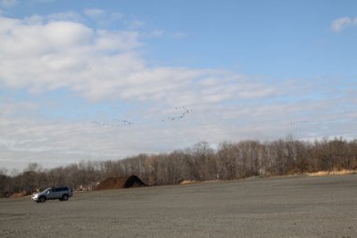 ir-120119__9576_12-59.jpg