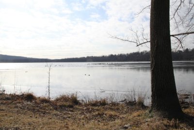 ir-120119__9580_13-04.jpg
