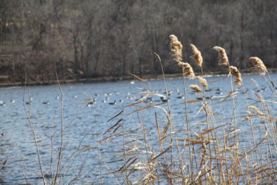 ir-120119__9587_13-06.jpg