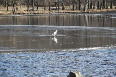 ir-120119__9588_13-06.jpg