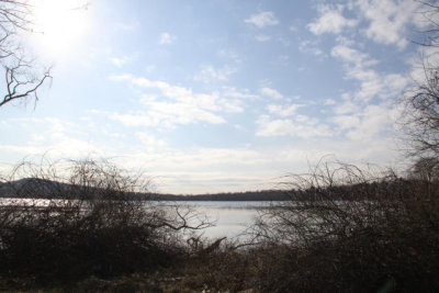 ir-120119__9591_13-09.jpg