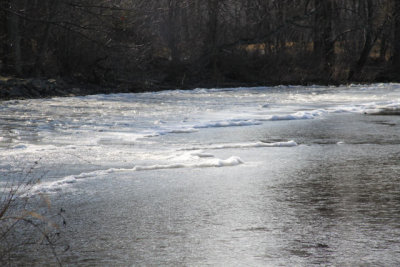 ir-120119__9597_13-19.jpg