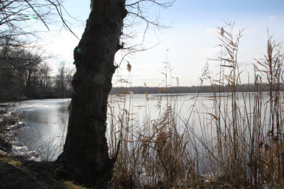 ir-120119__9599_13-20.jpg