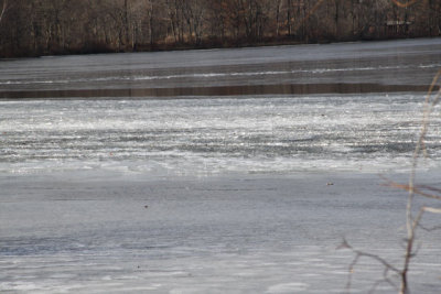 ir-120119__9603_13-26.jpg