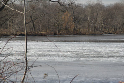 ir-120119__9604_13-26.jpg