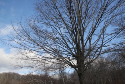 ir-120124__9821_13-23.jpg