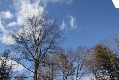ir-120130__9867_13-50.jpg