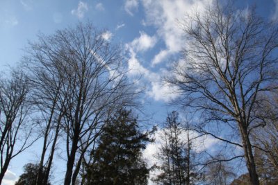 ir-120130__9868_13-50.jpg