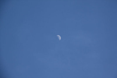 ir-120130__9883_14-20.jpg