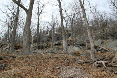 ir-120221__0145_15-49.jpg