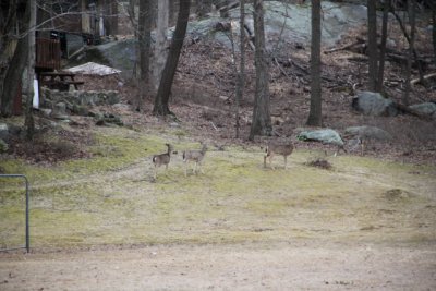 ir-120221__0155_16-14.jpg
