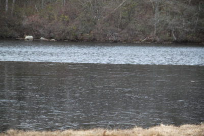 ir-120221__0183_17-00.jpg