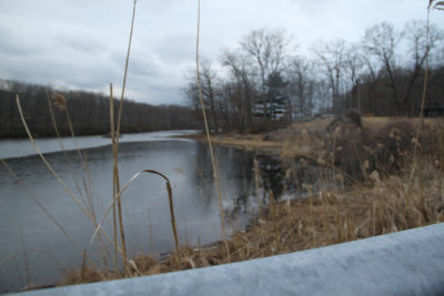 ir-120221__0185_17-12.jpg