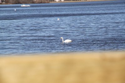 ir-120305__0273_13-23.jpg