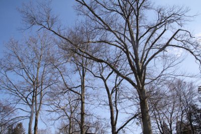 ir-120305__0278_13-33.jpg