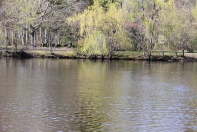 ir-120402__1181_15-02.jpg