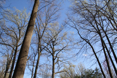 ir-120402__1189_15-18.jpg