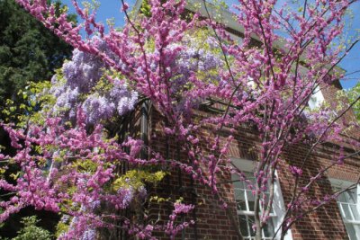 ir-120417__1416_12-07.jpg