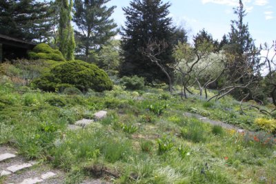 ir-120417__1475_12-45.jpg