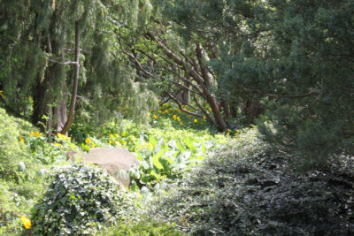 ir-120417__1499_12-57.jpg