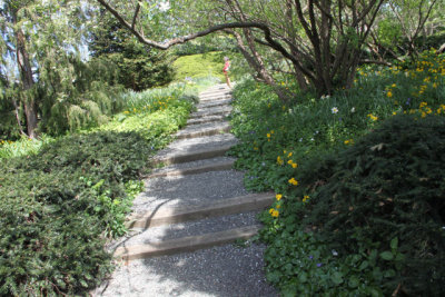 ir-120417__1503_13-00.jpg