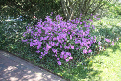 ir-120417__1611_14-33.jpg