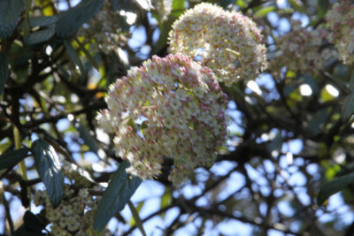 ir-120417__1612_14-33.jpg