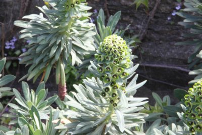 ir-120417__1429_12-21P.jpg