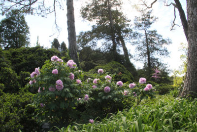 ir-120417__1437_12-26L.jpg