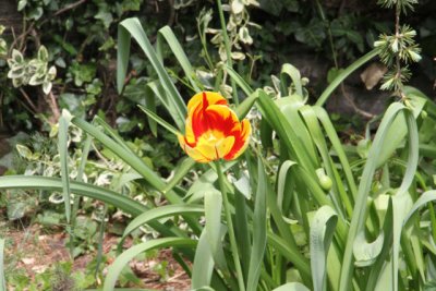 ir-120417__1466_12-42P.jpg
