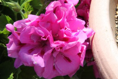 ir-120417__1510_13-08L.jpg