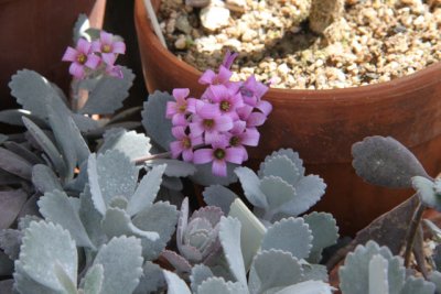 ir-120417__1568_14-17P.jpg