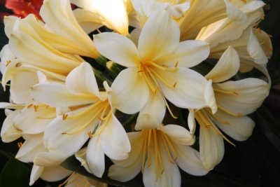 ir-120417__1597_14-27P.jpg